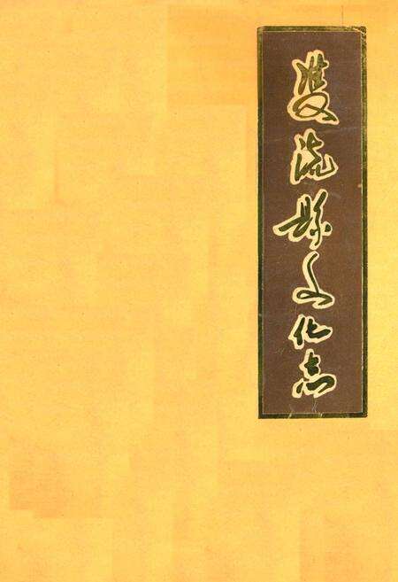 《双流县文化志》.pdf电子版_四川省志缩略图