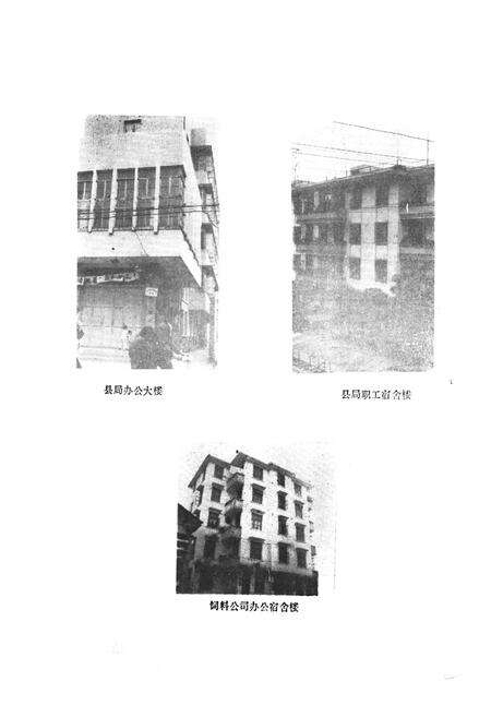 《青神县粮食局志》.pdf电子版_四川省志预览图4