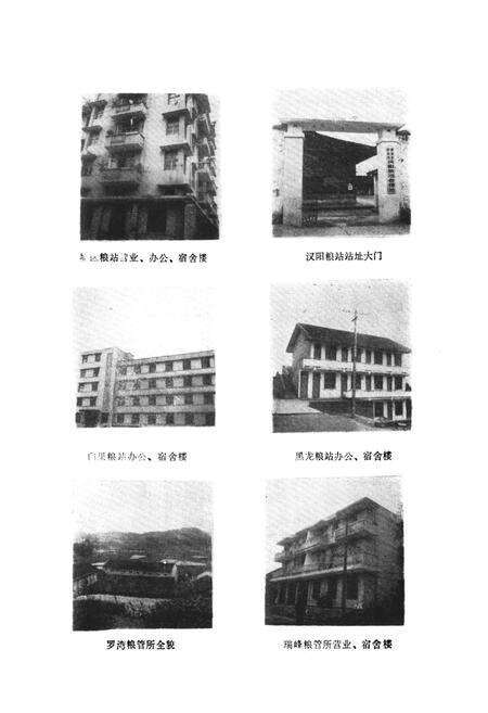 《青神县粮食局志》.pdf电子版_四川省志预览图5