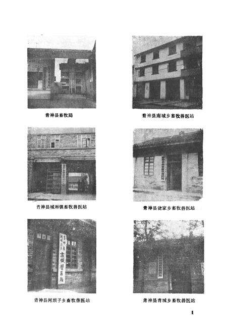 《青阳县畜牧志》.pdf电子版_四川省志预览图2