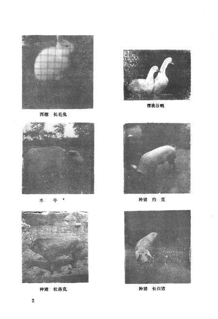 《青阳县畜牧志》.pdf电子版_四川省志预览图3