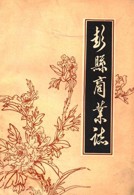 《彭县商业志》.pdf电子版_四川省志缩略图