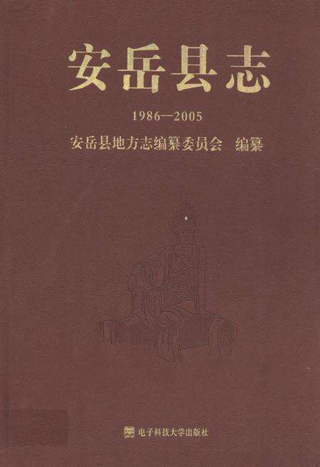 《安岳县志(1986-2005)》.pdf电子版_四川省志缩略图