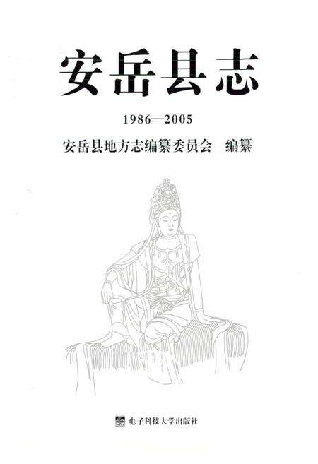 《安岳县志(1986-2005)》.pdf电子版_四川省志预览图1