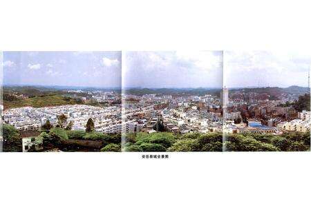《安岳县志(1986-2005)》.pdf电子版_四川省志预览图2