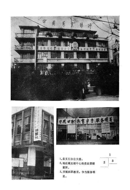 《双流县农村金融志(1911-1985)》.pdf电子版_四川省志预览图3