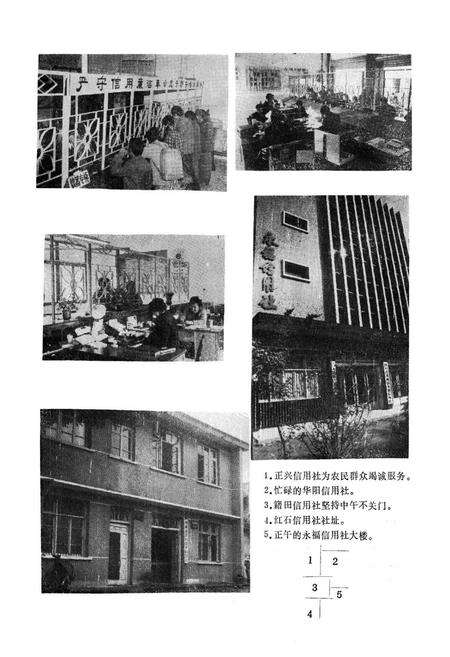 《双流县农村金融志(1911-1985)》.pdf电子版_四川省志预览图5