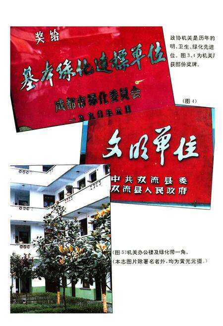 《双流政协志(1950-1985)》.pdf电子版_四川省志预览图3