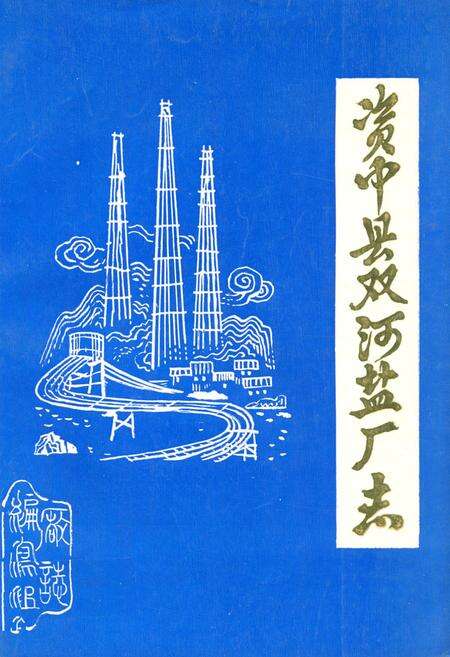 《资中县双河盐厂志》.pdf电子版_四川省志缩略图