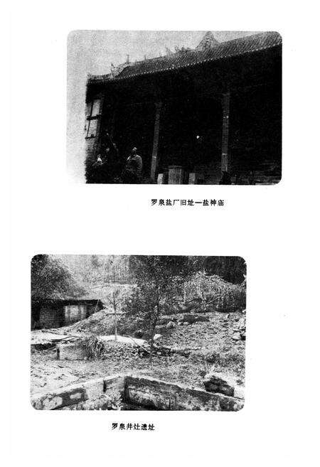 《资中县双河盐厂志》.pdf电子版_四川省志预览图3