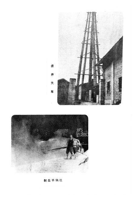 《资中县双河盐厂志》.pdf电子版_四川省志预览图5