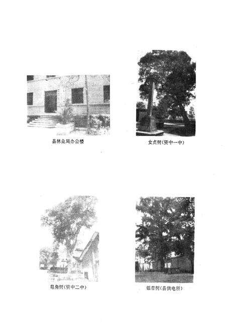 《资中县林业局志》.pdf电子版_四川省志预览图1