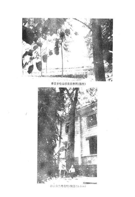 《资中县林业局志》.pdf电子版_四川省志预览图3