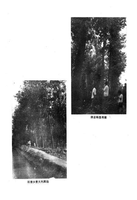 《资中县林业局志》.pdf电子版_四川省志预览图4