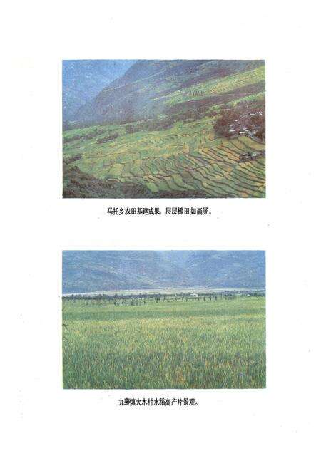 《汉源县农业局志》.pdf电子版_四川省志预览图2