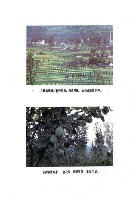 《汉源县农业局志》.pdf电子版_四川省志预览图3