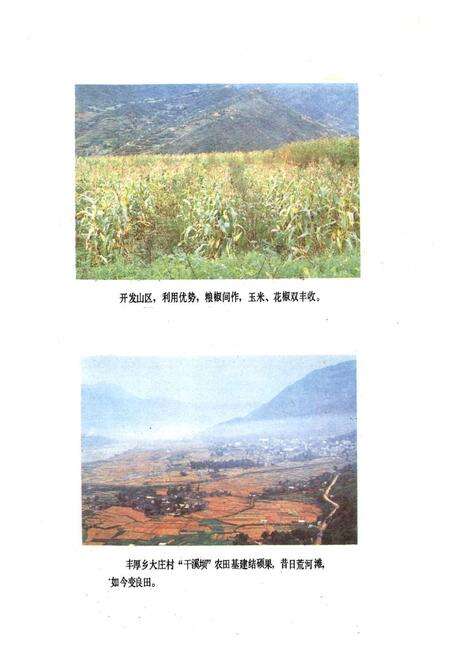 《汉源县农业局志》.pdf电子版_四川省志预览图4