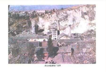 《盐源监厂志》.pdf电子版_四川省志预览图1