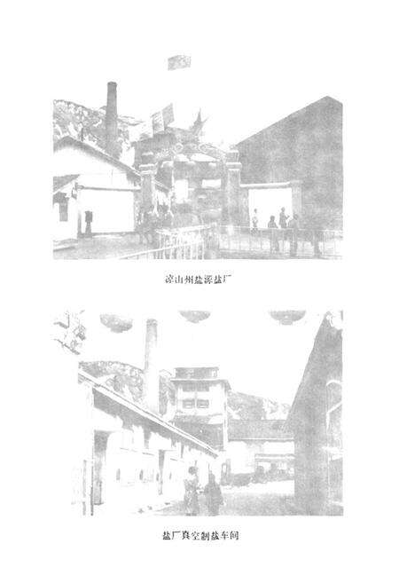 《盐源监厂志》.pdf电子版_四川省志预览图2