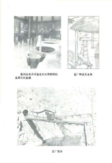 《盐源监厂志》.pdf电子版_四川省志预览图4