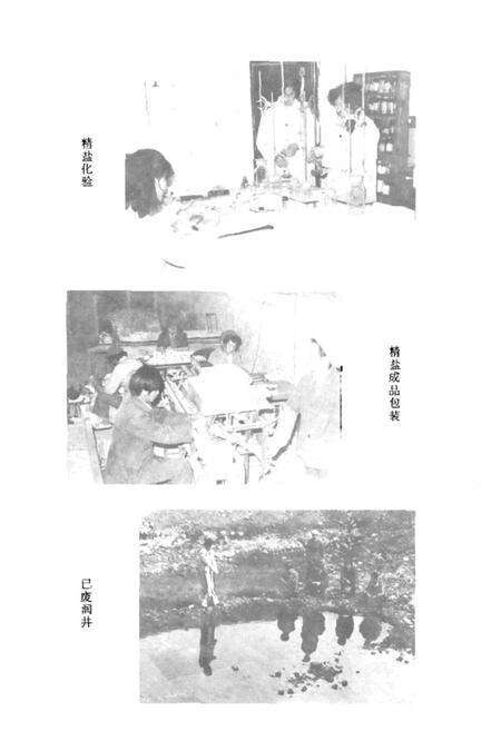 《盐源监厂志》.pdf电子版_四川省志预览图5