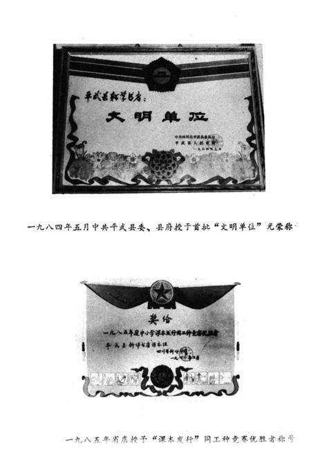《平武县书店志1925-1985》.pdf电子版_四川省志预览图5