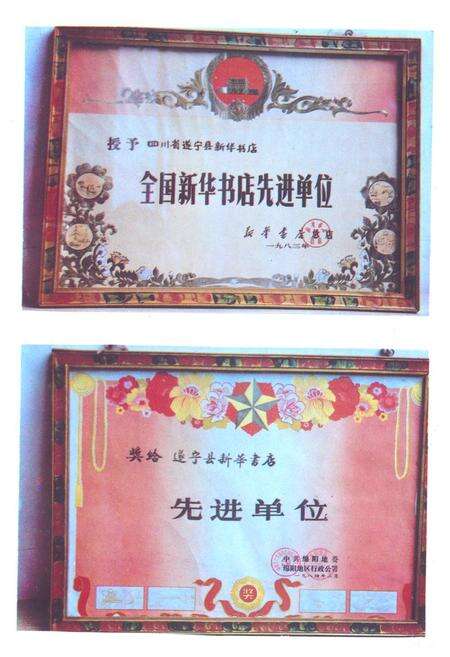 《遂宁图书发行志》.pdf电子版_四川省志预览图4