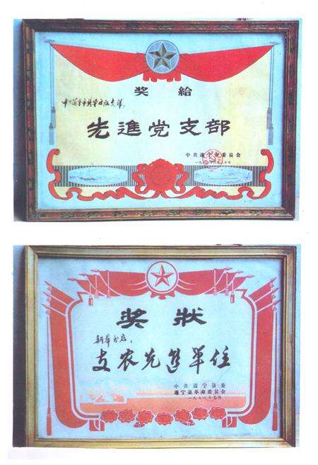 《遂宁图书发行志》.pdf电子版_四川省志预览图5