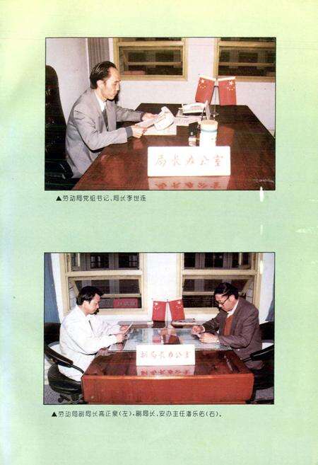 《双流县劳动志》.pdf电子版_四川省志预览图3