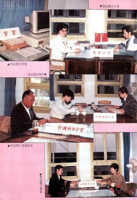 《双流县劳动志》.pdf电子版_四川省志预览图4