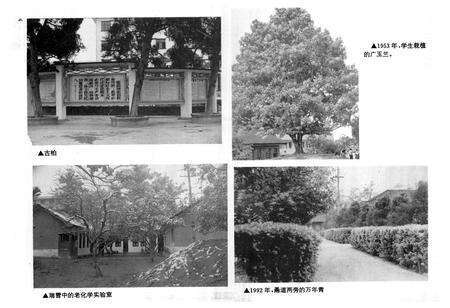 《双流中学志》.pdf电子版_四川省志预览图5