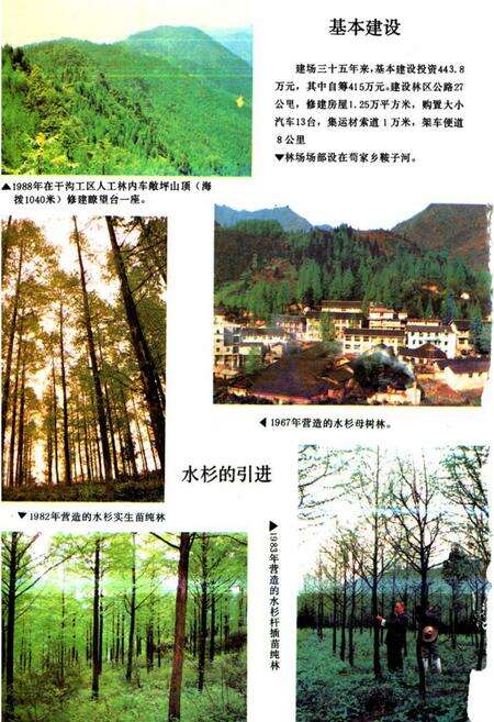 《崇庆县综合林场场志》.pdf电子版_四川省志预览图2