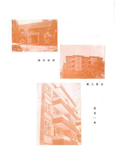 《彭县林业局志》.pdf电子版_四川省志预览图5