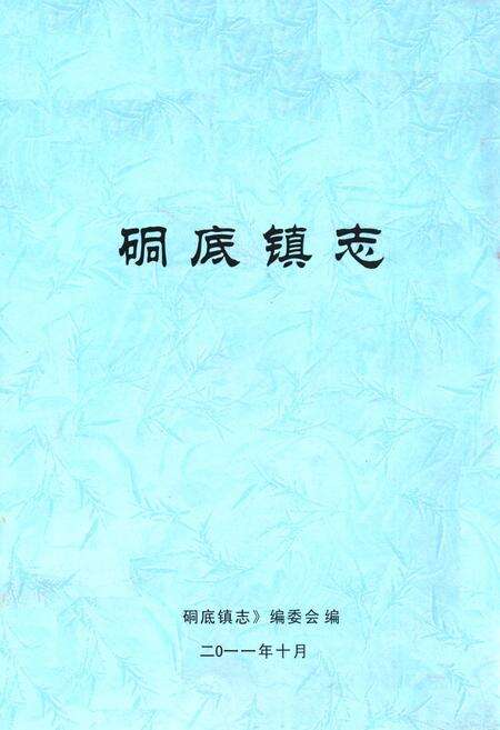 《硐底镇志》.pdf电子版_四川省志缩略图