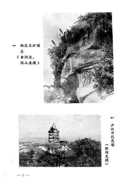 《宜宾地区文物简志》.pdf电子版_四川省志预览图5