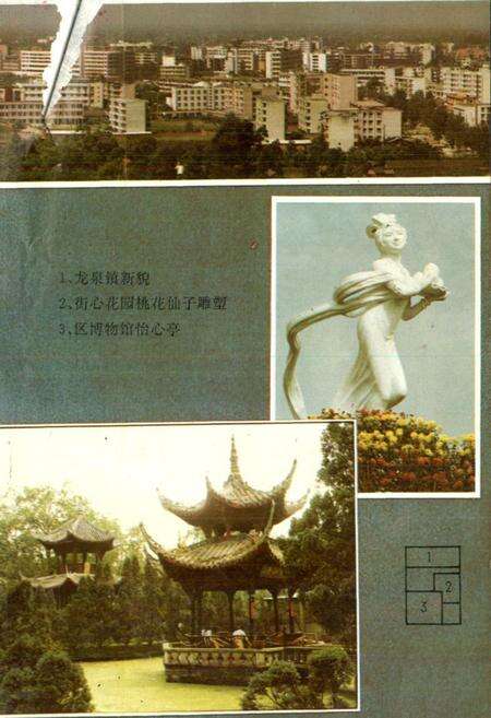 《龙泉驿区文化志》.pdf电子版_四川省志预览图2