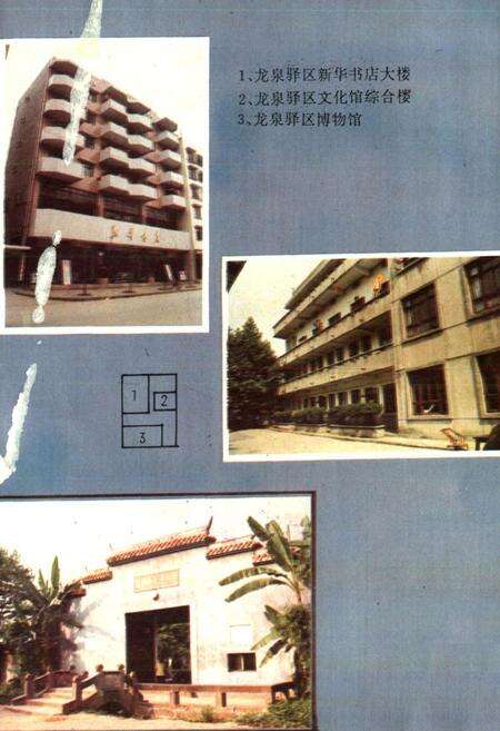 《龙泉驿区文化志》.pdf电子版_四川省志预览图3