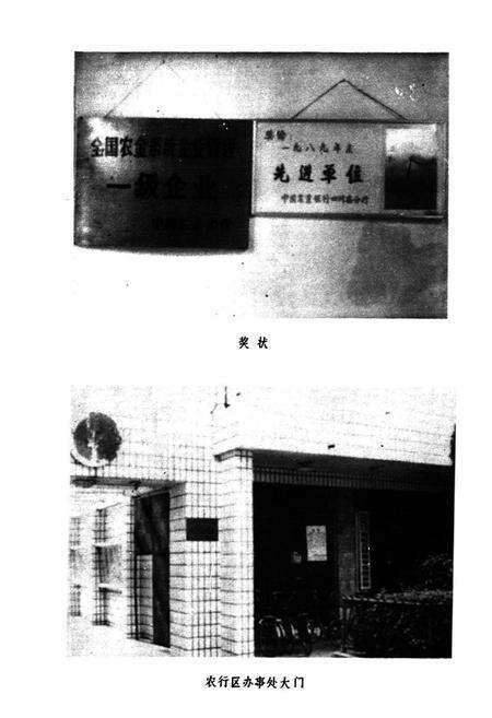 《青白江区农村金融志》.pdf电子版_四川省志预览图3