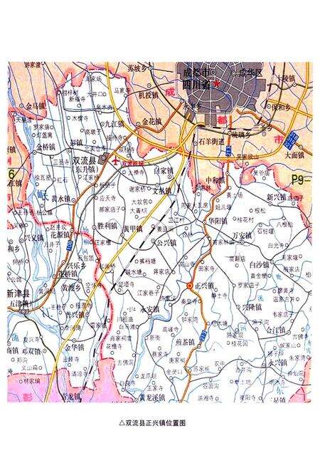 《双流县正兴镇志(2005年本)》.pdf电子版_四川省志预览图2