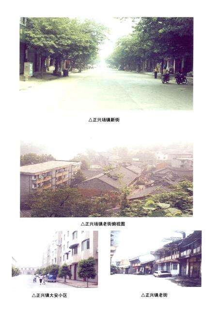 《双流县正兴镇志(2005年本)》.pdf电子版_四川省志预览图4