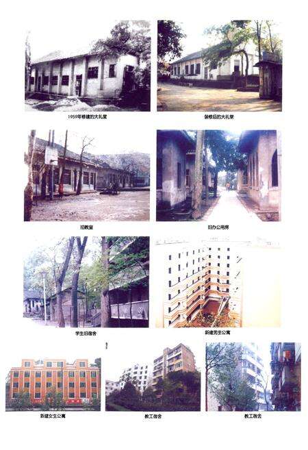 《四川省合江县中学校校志(1910-2009)》.pdf电子版_四川省志预览图4