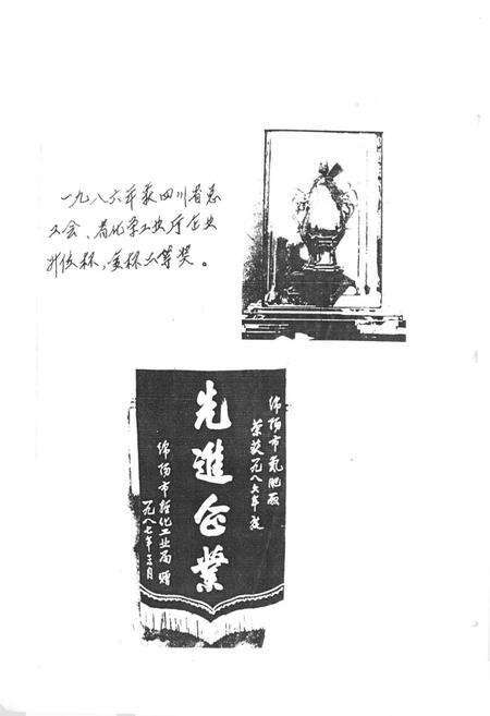 《绵阳市氮肥厂志(1964-1987)》.pdf电子版_四川省志预览图3