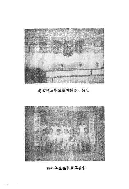 《绵阳市龙西堰志》.pdf电子版_四川省志预览图3