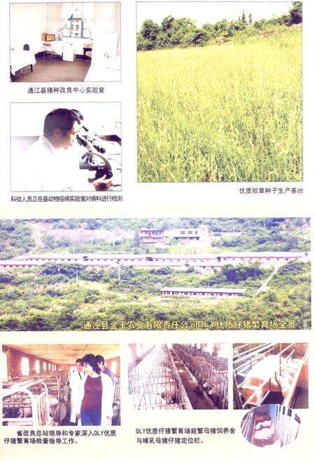 《通江县畜牧食品志(1986-2003年)》.pdf电子版_四川省志预览图3