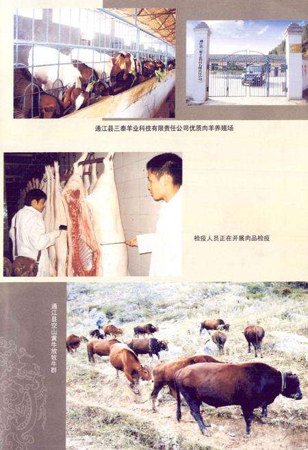 《通江县畜牧食品志(1986-2003年)》.pdf电子版_四川省志预览图4