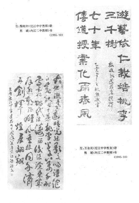 《四川省内江市第二中学(沱江中学)校志(1925-1995)》.pdf电子版_四川省志预览图5