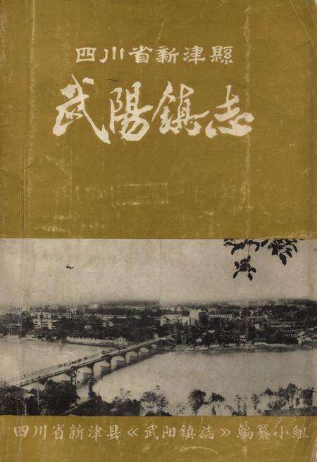 《四川省新津县武阳镇志》.pdf电子版_四川省志缩略图