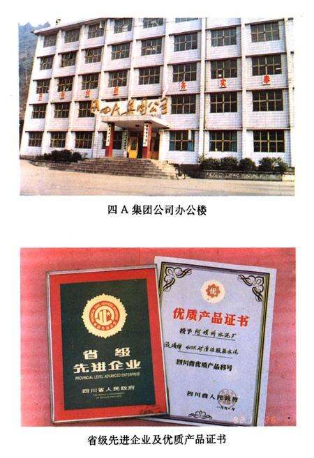 《阿坝州水泥厂志》.pdf电子版_四川省志预览图5