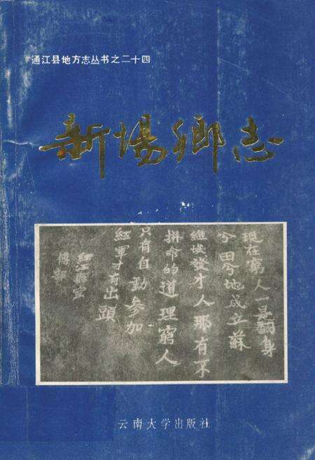 《新场乡志》.pdf电子版_四川省志缩略图