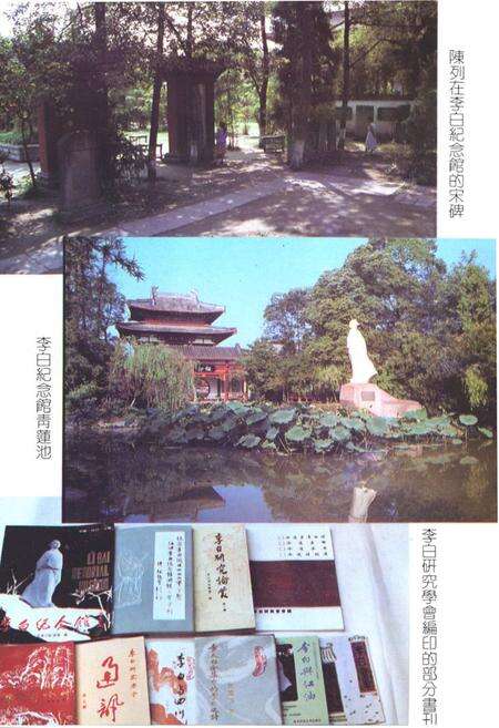 《江油市文化志》.pdf电子版_四川省志预览图5